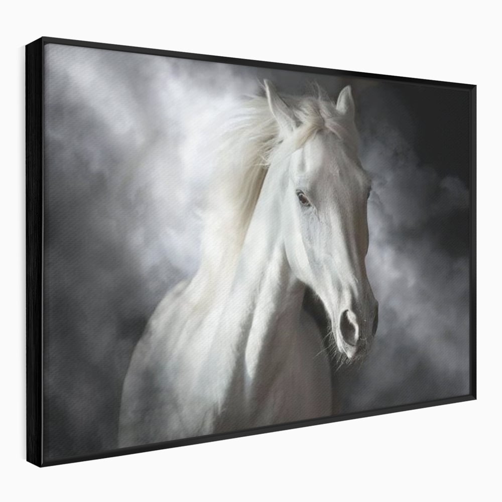 Tablou canvas cu tablou canvas cu un cal alb si nori, in rama de aluminiu negru